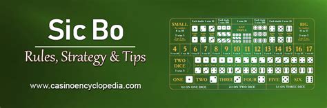 Sic Bo Guide: Master Rules, Strategies, and Tips for Success.